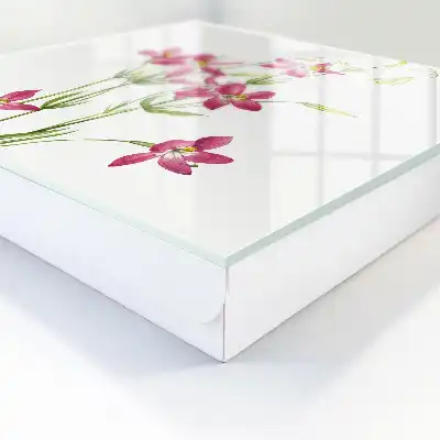 Roze bloemen tegen een lichte achtergrond