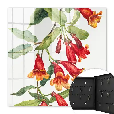 Rode bloemen
