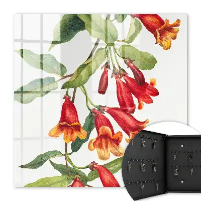 Rode bloemen