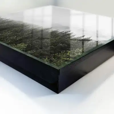 Mistige dennenbomen omlijst door groen
