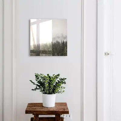 Mistige dennenbomen omlijst door groen
