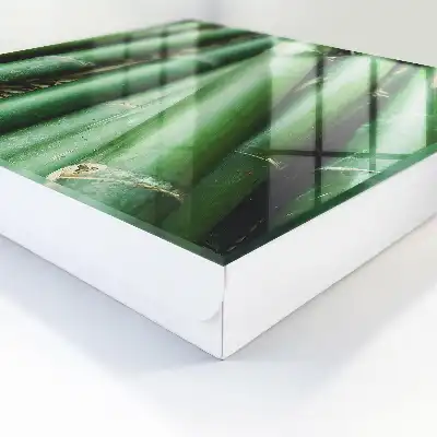 De groene vrede van bamboestengels