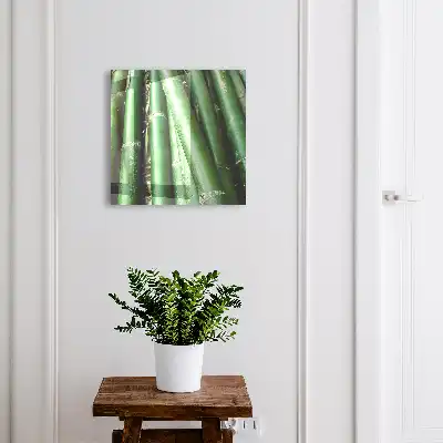 De groene vrede van bamboestengels