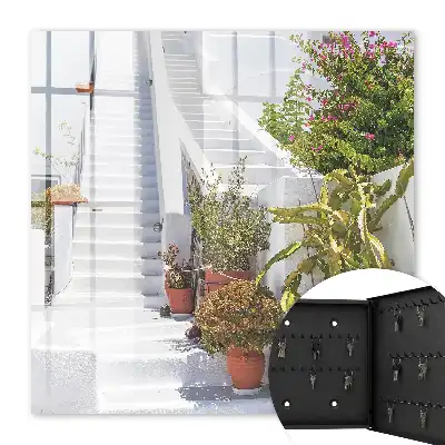 Trappen met potplanten