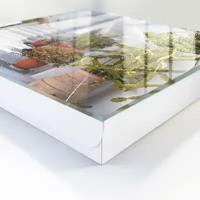 Trappen met potplanten