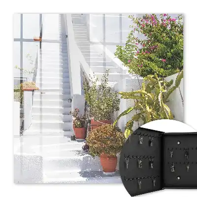 Trappen met potplanten