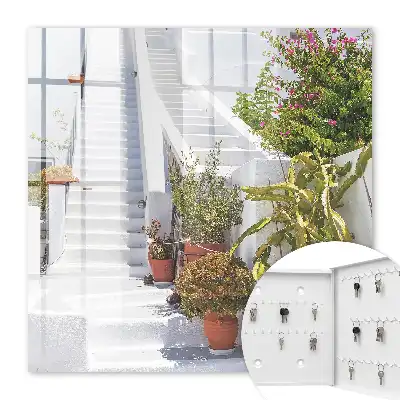Trappen met potplanten