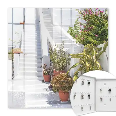 Trappen met potplanten