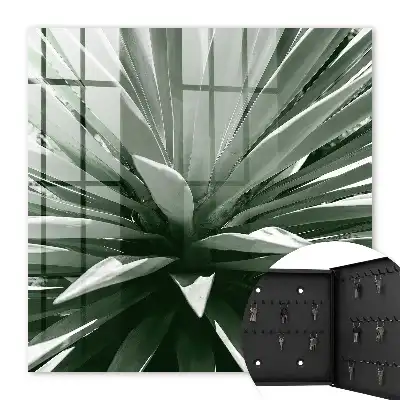 Agave samenstelling van de natuur