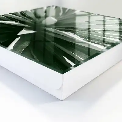 Agave samenstelling van de natuur