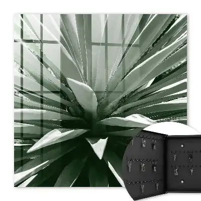 Agave samenstelling van de natuur
