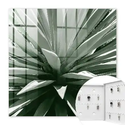 Agave samenstelling van de natuur