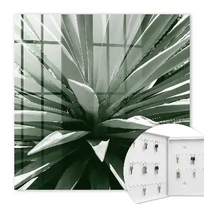 Agave samenstelling van de natuur