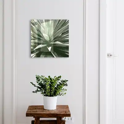 Agave samenstelling van de natuur