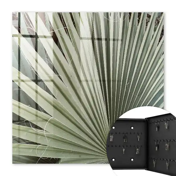 Decoratieve palmbladeren voor een elegante uitstraling