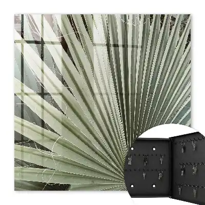 Decoratieve palmbladeren voor een elegante uitstraling