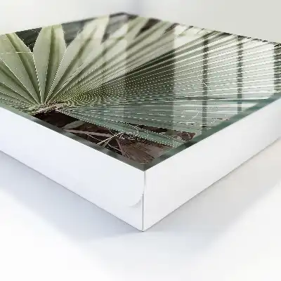 Decoratieve palmbladeren voor een elegante uitstraling