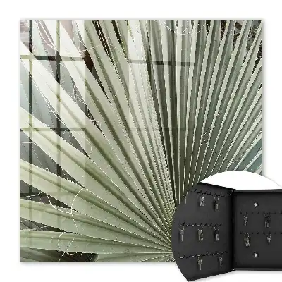 Decoratieve palmbladeren voor een elegante uitstraling