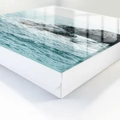 Wanddecoratie met zeegolven en rotsen