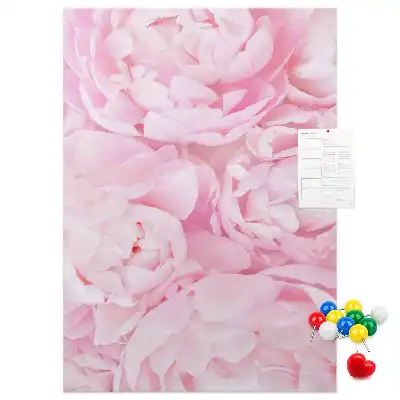 Prikbord van kurk Zomerbloemen