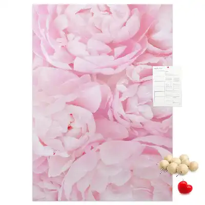 Prikbord van kurk Zomerbloemen