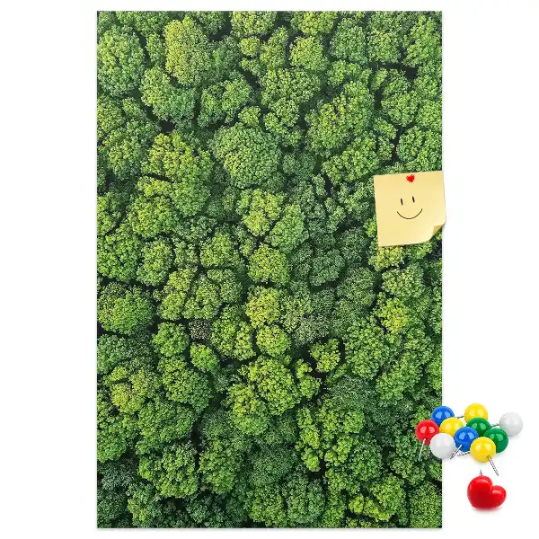 Prikbord van kurk bosachtige aard van de boom