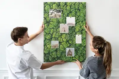 Prikbord van kurk bosachtige aard van de boom