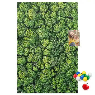Prikbord van kurk bosachtige aard van de boom