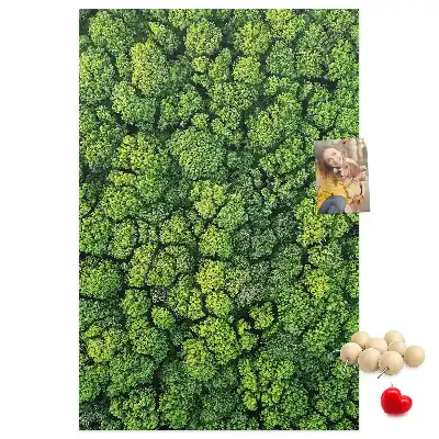 Prikbord van kurk bosachtige aard van de boom