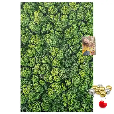 Prikbord van kurk bosachtige aard van de boom