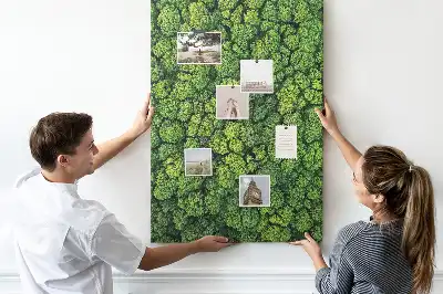 Prikbord van kurk bosachtige aard van de boom