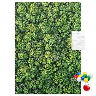 Prikbord van kurk bosachtige aard van de boom