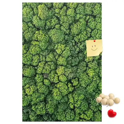 Prikbord van kurk bosachtige aard van de boom