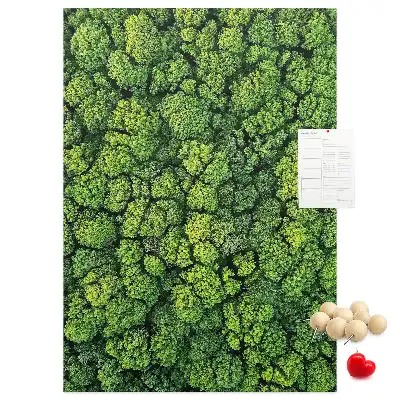 Prikbord van kurk bosachtige aard van de boom