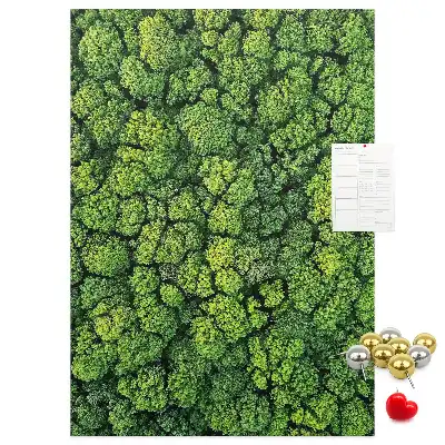 Prikbord van kurk bosachtige aard van de boom