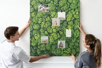 Prikbord van kurk bosachtige aard van de boom