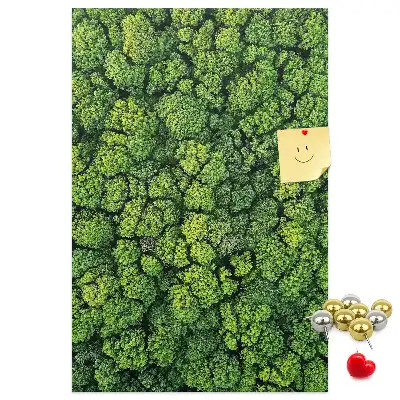 Prikbord van kurk bosachtige aard van de boom