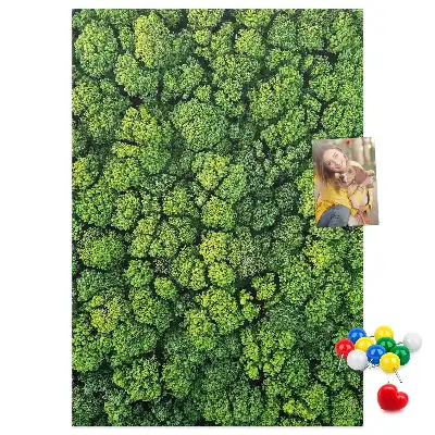 Prikbord van kurk bosachtige aard van de boom