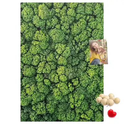 Prikbord van kurk bosachtige aard van de boom