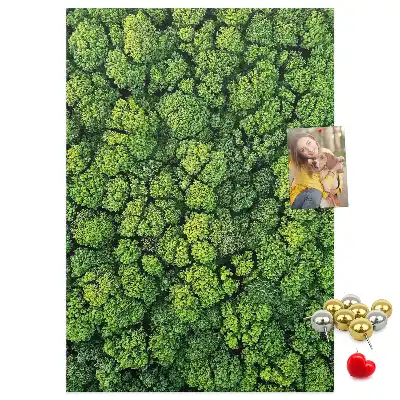 Prikbord van kurk bosachtige aard van de boom