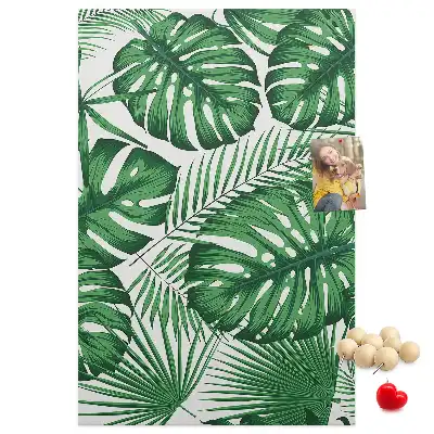 Prikbord van kurk Groene monstera bladeren