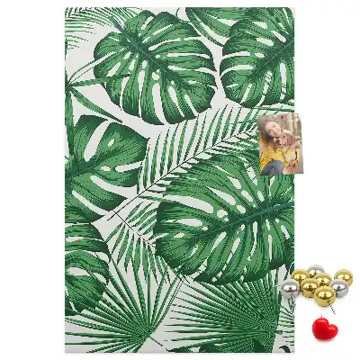Prikbord van kurk Groene monstera bladeren
