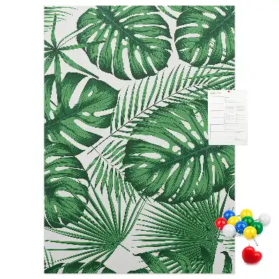 Prikbord van kurk Groene monstera bladeren