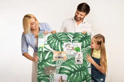 Prikbord van kurk Groene monstera bladeren