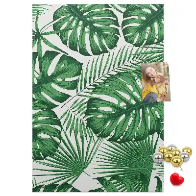Prikbord van kurk Groene monstera bladeren