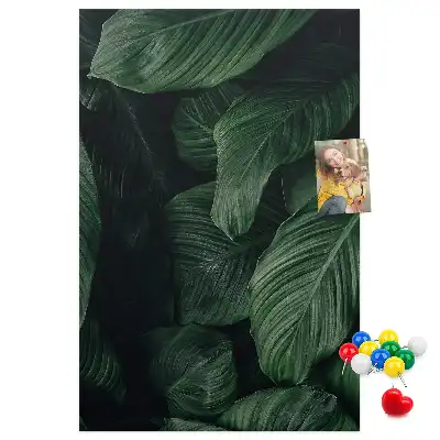 Prikbord Bladeren van junglevegetatie