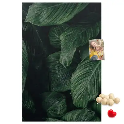 Prikbord Bladeren van junglevegetatie
