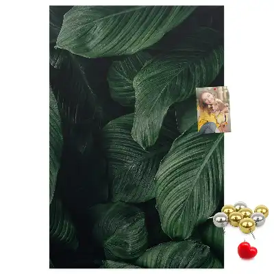 Prikbord Bladeren van junglevegetatie