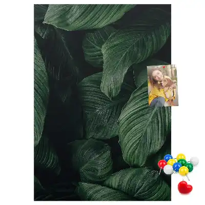 Prikbord Bladeren van junglevegetatie