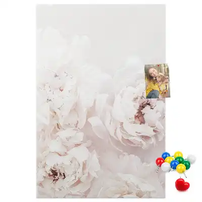 Prikbord van kurk Pioenrozen